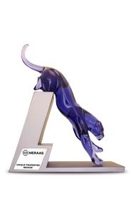 Meraas Top Broker